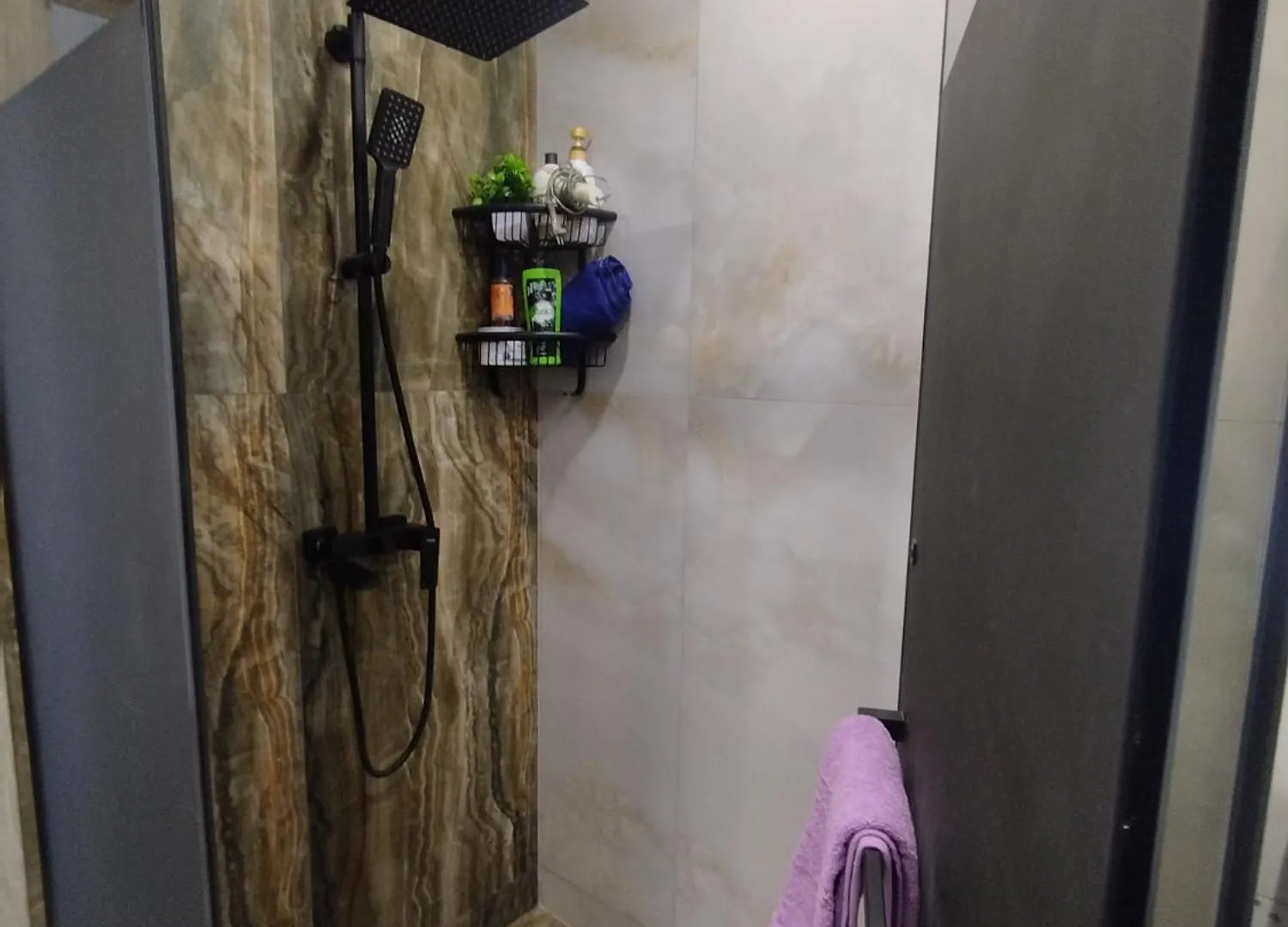 Almaty City Apartment